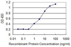 Detection limit for recombinant GST tagged RCBTB2 is 0. (RCBTB2 antibody  (AA 86-194))