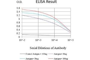 Black line: Control Antigen (100 ng),Purple line: Antigen (10 ng), Blue line: Antigen (50 ng), Red line:Antigen (100 ng) (SAA1 antibody  (AA 19-212))