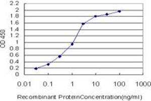 Detection limit for recombinant GST tagged HBZ is approximately 0. (HBZ antibody  (AA 1-142))