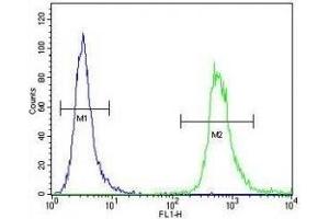 WDR3 antibody flow cytometric analysis of HeLa cells (green) compared to a negative control (blue). (WDR3 antibody  (AA 208-236))