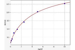 Typical standard curve (Adenosine A3 Receptor ELISA Kit)