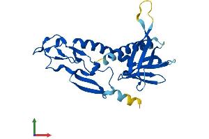AlphaFold protein structure predicition of Human Recombinant ZFYVE21 Protein, UniprotID Q9BQ24 (ZFYVE21 Protein (AA 1-234) (His tag))