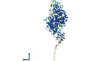 Protein Structure (PS) image for Ribonuclease L (2',5'-Oligoisoadenylate Synthetase-Dependent) (RNASEL) (AA 1-735) protein (His tag) (ABIN7563598)
