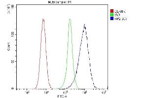 anti-Retinitis Pigmentosa 2 (X-Linked Recessive) (RP2) (AA 244-348) antibody