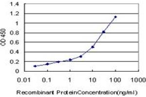 Detection limit for recombinant GST tagged HOXC12 is approximately 0. (HOXC12 antibody  (AA 1-100))
