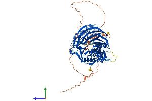AlphaFold protein structure predicition of Mouse Recombinant Btrc Protein, UniprotID Q3ULA2