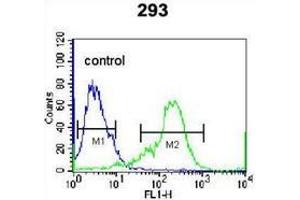 Flow cytometric analysis of 293 cells (right histogram) compared to a negative control cell (left histogram) using NKX1-2  Antibody (N-term), followed by FITC-conjugated secondary antibodies. (NKX1-2 antibody  (N-Term))