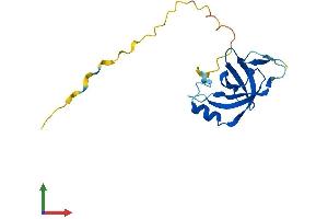 AlphaFold protein structure predicition of Human Recombinant CSDC2 Protein, UniprotID Q9Y534
