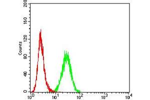 Flow cytometric analysis of K562 cells using CD207 mouse mAb (green) and negative control (red). (CD207 antibody  (AA 155-328))