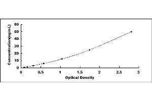 Typical standard curve (SOD2 ELISA Kit)