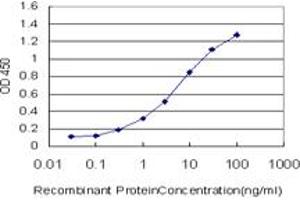 Detection limit for recombinant GST tagged PPIL1 is approximately 0. (PPIL1 antibody  (AA 76-166))