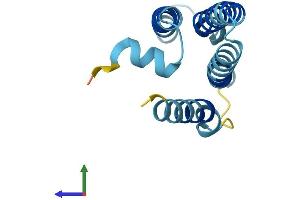 AlphaFold protein structure predicition of Mouse Recombinant Tmem203 Protein, UniprotID Q8R235 (TMEM203 Protein (AA 1-136) (His tag))