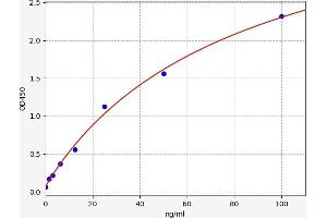Typical standard curve (Fetal Fibronectin ELISA Kit)