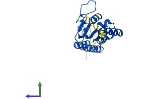 AlphaFold protein structure predicition of Mouse Recombinant Adat2 Protein, UniprotID Q6P6J0 (ADAT2 Protein (AA 1-191) (His tag))