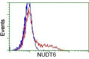 HEK293T cells transfected with either RC203470 overexpress plasmid (Red) or empty vector control plasmid (Blue) were immunostained by anti-NUDT6 antibody (ABIN2454160), and then analyzed by flow cytometry. (NUDT6 antibody)