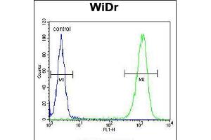 Flow cytometric analysis of WiDr cells (right histogram) compared to a negative control cell (left histogram). (TSPAN33 antibody  (C-Term))