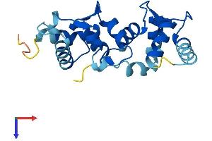AlphaFold protein structure predicition of Mouse Recombinant Cib4 Protein, UniprotID Q9D9N5 (CIB4 Protein (AA 1-185) (His tag))