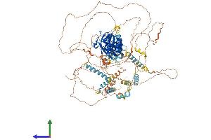 AlphaFold protein structure predicition of Mouse Recombinant Per3 Protein, UniprotID O70361