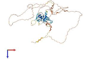 AlphaFold protein structure predicition of Human Recombinant C11orf16 Protein, UniprotID Q9NQ32 (C11ORF16 Protein (AA 1-467) (His tag))