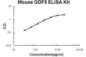 Mouse GDF5 PicoKine ELISA Kit standard curve