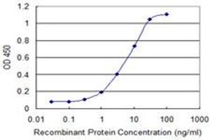 Detection limit for recombinant GST tagged TBX21 is 0. (T-Bet antibody  (AA 387-486))