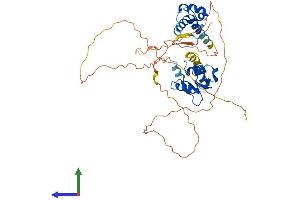 Protein Structure (PS) image for Friend Leukemia Virus Integration 1 (FLI1) (AA 1-452) protein (His tag) (ABIN7547726)