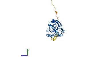 Protein Structure (PS) image for Ras-Like Without CAAX 1 (RIT1) (AA 1-219) protein (His tag) (ABIN7551424)