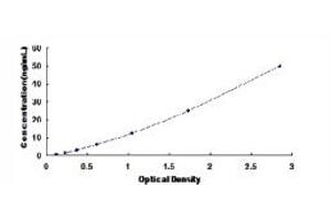 Typical standard curve (HSP27 ELISA Kit)