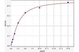 Claudin 3 (CLDN3) ELISA Kit