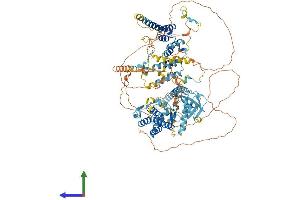 AlphaFold protein structure predicition of Human Recombinant BUB1B Protein, UniprotID O60566 (BUB1B Protein (AA 1-1050) (His tag))