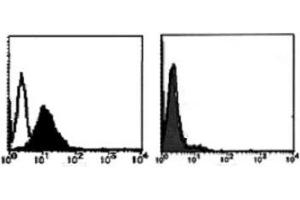 Flow Cytometry (FACS) image for anti-TNF Receptor Superfamily, Member 6 (FAS) antibody (ABIN1106612) (FAS antibody)