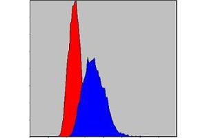 Flow cytometric analysis of Hela cells using IRAK4 mouse mAb (blue) and negative control (red).