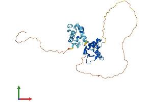 AlphaFold protein structure predicition of Mouse Recombinant Ehf Protein, UniprotID O70273 (EHF Protein (AA 1-300) (His tag))