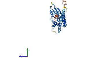 Protein Structure (PS) image for Metaxin 1 (MTX1) (AA 1-317) protein (His tag) (ABIN7563293)