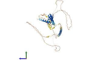 AlphaFold protein structure predicition of Mouse Recombinant Acbd5 Protein, UniprotID Q5XG73 (ACBD5 Protein (AA 1-508) (His tag))