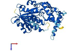 AlphaFold protein structure predicition of Mouse Recombinant Hsd3b4 Protein, UniprotID Q61767 (Hydroxy-delta-5-Steroid Dehydrogenase, 3 beta and Steroid delta-Isomerase 4 (HSD3B4) (AA 1-373) protein (His tag))