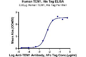 Immobilized Human TEM1, His Tag at 0. (CD248 Protein (AA 18-687) (His tag))
