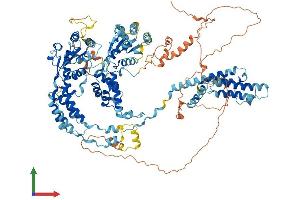 AlphaFold protein structure predicition of Mouse Recombinant Atad2 Protein, UniprotID Q8CDM1