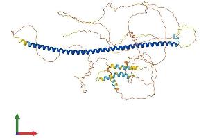 AlphaFold protein structure predicition of Mouse Recombinant Sybu Protein, UniprotID Q8BHS8