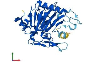 Protein Structure (PS) image for Phytanoyl-CoA Dioxygenase Domain Containing 1 (PHYHD1) (AA 1-291) protein (His tag) (ABIN7550733)