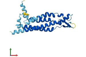 AlphaFold protein structure predicition of Mouse Recombinant Gje1 Protein, UniprotID Q9CX92 (GJE1 Protein (AA 1-205) (His tag))