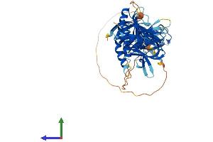 Protein Structure (PS) image for Syntrophin, beta 2 (Dystrophin-Associated Protein A1, 59kDa, Basic Component 2) (SNTB2) (AA 1-520) protein (His tag) (ABIN7557683)