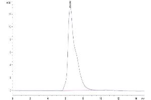 The purity of Cynomolgus CD96 is greater than 95 % as determined by SEC-HPLC. (CD96 Protein (CD96) (AA 22-502) (His tag))