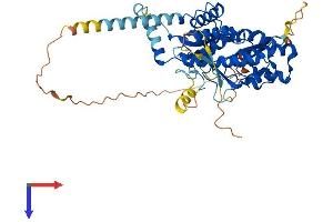 PI4K2A Protein (AA 1-479) (His tag)