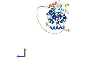AlphaFold protein structure predicition of Human Recombinant TSR3 Protein, UniprotID Q9UJK0 (TSR3 Protein (AA 1-312) (His tag))