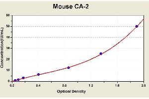 Diagramm of the ELISA kit to detect Mouse CA-2with the optical density on the x-axis and the concentration on the y-axis. (CA2 ELISA Kit)
