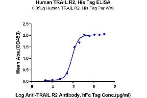 ELISA image for Tumor Necrosis Factor Receptor Superfamily, Member 10b (TNFRSF10B) (AA 56-182) protein (His-Avi Tag) (ABIN7275779)
