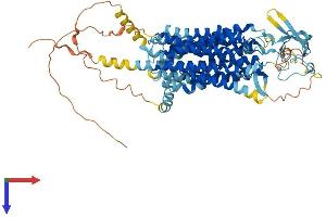 AlphaFold protein structure predicition of Human Recombinant SLCO2B1 Protein, UniprotID O94956 (SLCO2B1 Protein (AA 1-709) (His tag))