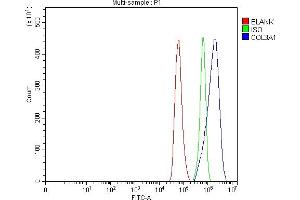 Flow Cytometry analysis of Hela cells using anti-Collagen III/COL3A1 antibody (ABIN6719295).
