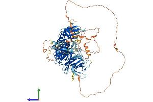AlphaFold protein structure predicition of Mouse Recombinant Map4k3 Protein, UniprotID Q99JP0 (MAP4K3 Protein (AA 1-894) (His tag))